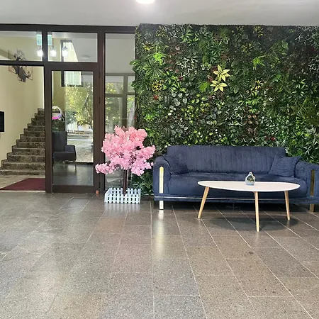 Garden Vidin